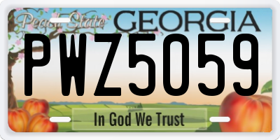 GA license plate PWZ5059