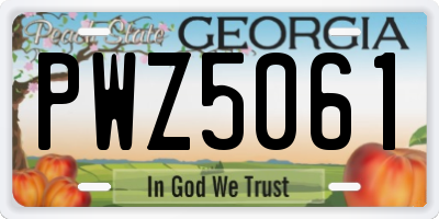 GA license plate PWZ5061