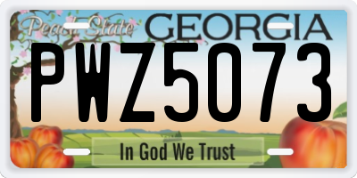 GA license plate PWZ5073