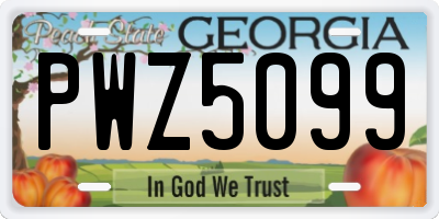 GA license plate PWZ5099