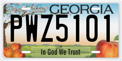 GA license plate PWZ5101