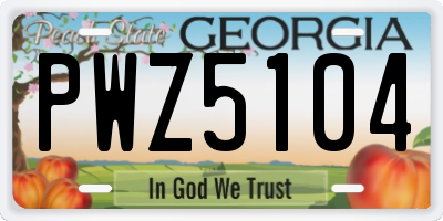 GA license plate PWZ5104