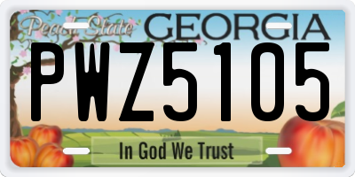 GA license plate PWZ5105