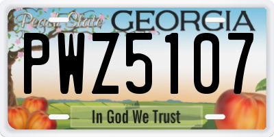GA license plate PWZ5107