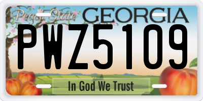 GA license plate PWZ5109