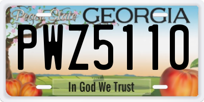 GA license plate PWZ5110