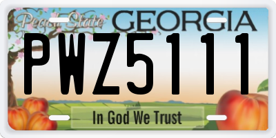 GA license plate PWZ5111