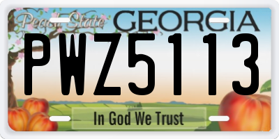 GA license plate PWZ5113