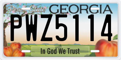 GA license plate PWZ5114