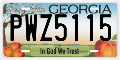 GA license plate PWZ5115