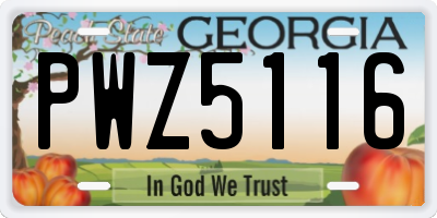 GA license plate PWZ5116