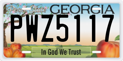 GA license plate PWZ5117