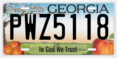 GA license plate PWZ5118