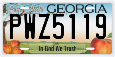 GA license plate PWZ5119