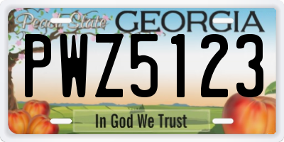 GA license plate PWZ5123