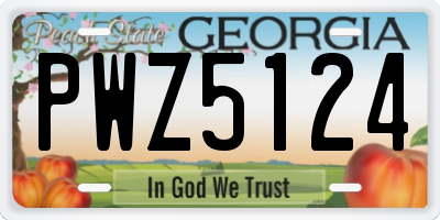 GA license plate PWZ5124