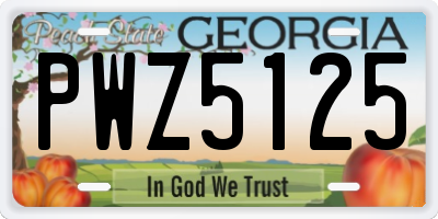 GA license plate PWZ5125