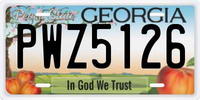 GA license plate PWZ5126