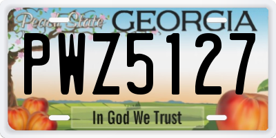GA license plate PWZ5127