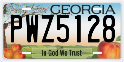 GA license plate PWZ5128