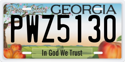GA license plate PWZ5130