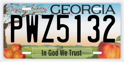 GA license plate PWZ5132