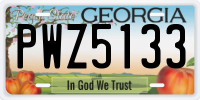 GA license plate PWZ5133