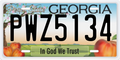 GA license plate PWZ5134