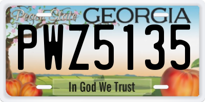 GA license plate PWZ5135
