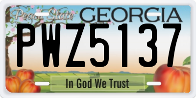 GA license plate PWZ5137