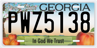 GA license plate PWZ5138