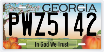 GA license plate PWZ5142