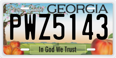 GA license plate PWZ5143