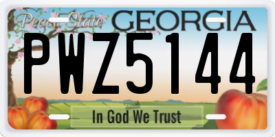 GA license plate PWZ5144