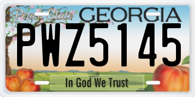 GA license plate PWZ5145
