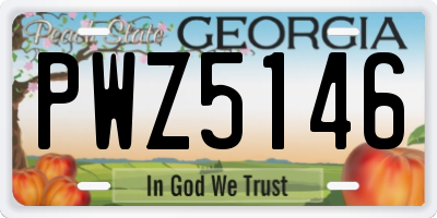 GA license plate PWZ5146