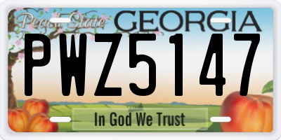 GA license plate PWZ5147