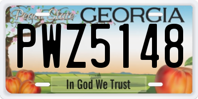 GA license plate PWZ5148