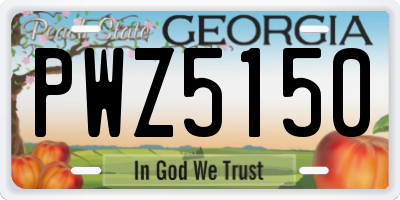 GA license plate PWZ5150