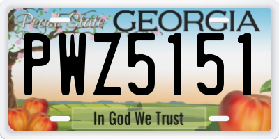GA license plate PWZ5151