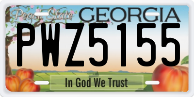 GA license plate PWZ5155