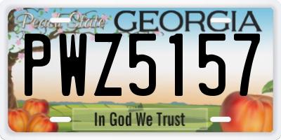 GA license plate PWZ5157