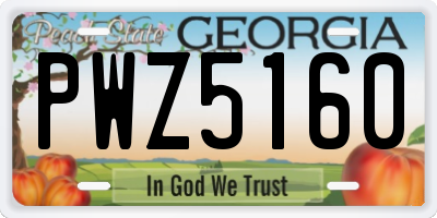 GA license plate PWZ5160