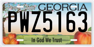GA license plate PWZ5163