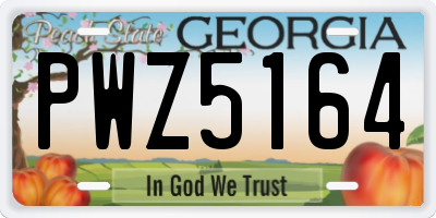 GA license plate PWZ5164