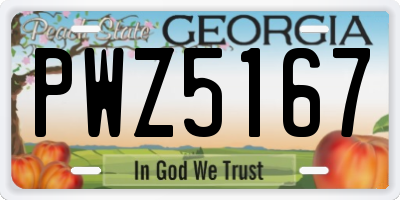 GA license plate PWZ5167