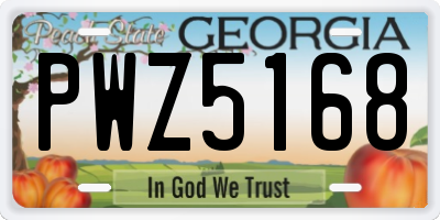 GA license plate PWZ5168