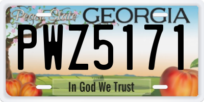 GA license plate PWZ5171