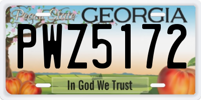 GA license plate PWZ5172