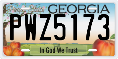 GA license plate PWZ5173